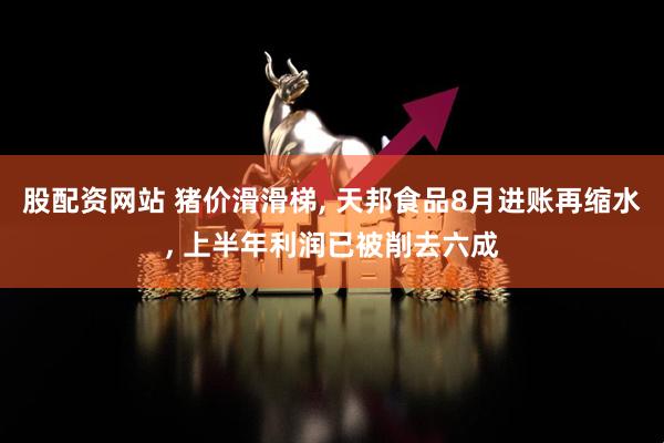 股配資網(wǎng)站 豬價(jià)滑滑梯, 天邦食品8月進(jìn)賬再縮水, 上半年利潤(rùn)已被削去六成